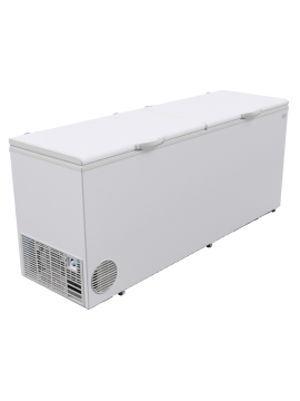 Freezer comercial 600Lts doble tapa F600B